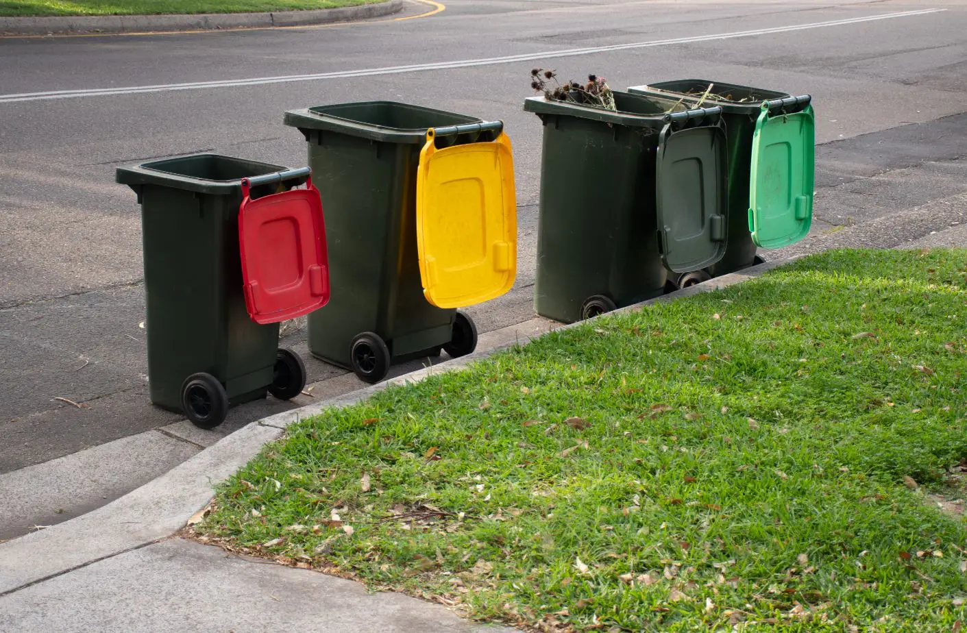 4 wheelie bins sitting open on a driveway curb