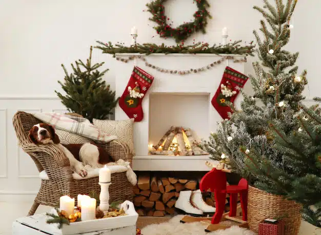 cute-little-dog-christmas-decorated-living-room