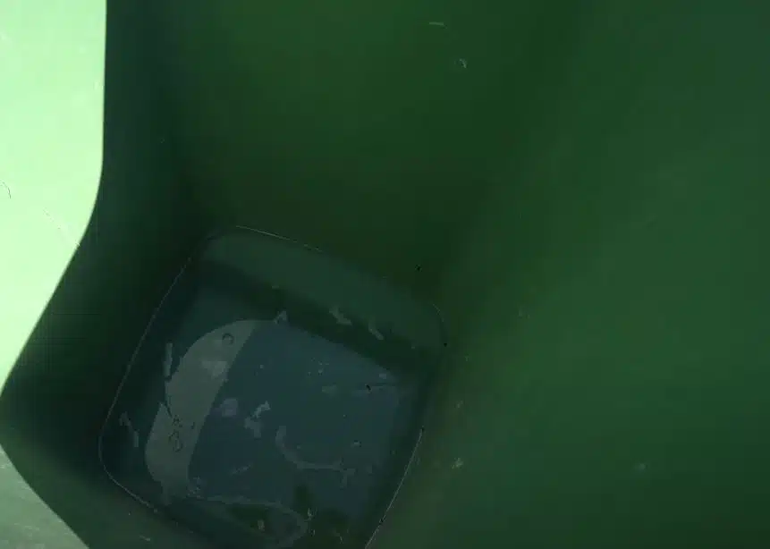 inside green wheelie bin after being rinsed with soapy water