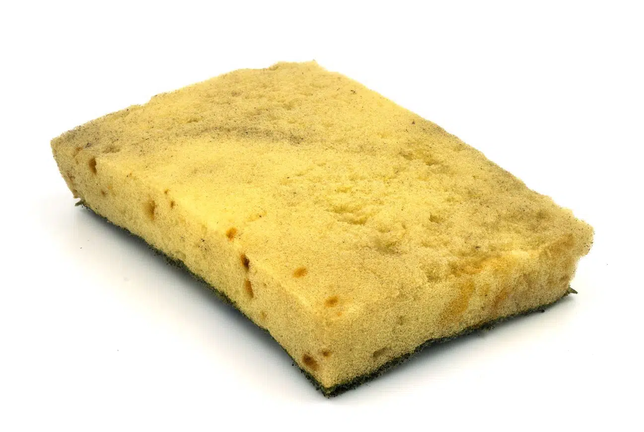 old dirty used yellow sponge in front of a white background