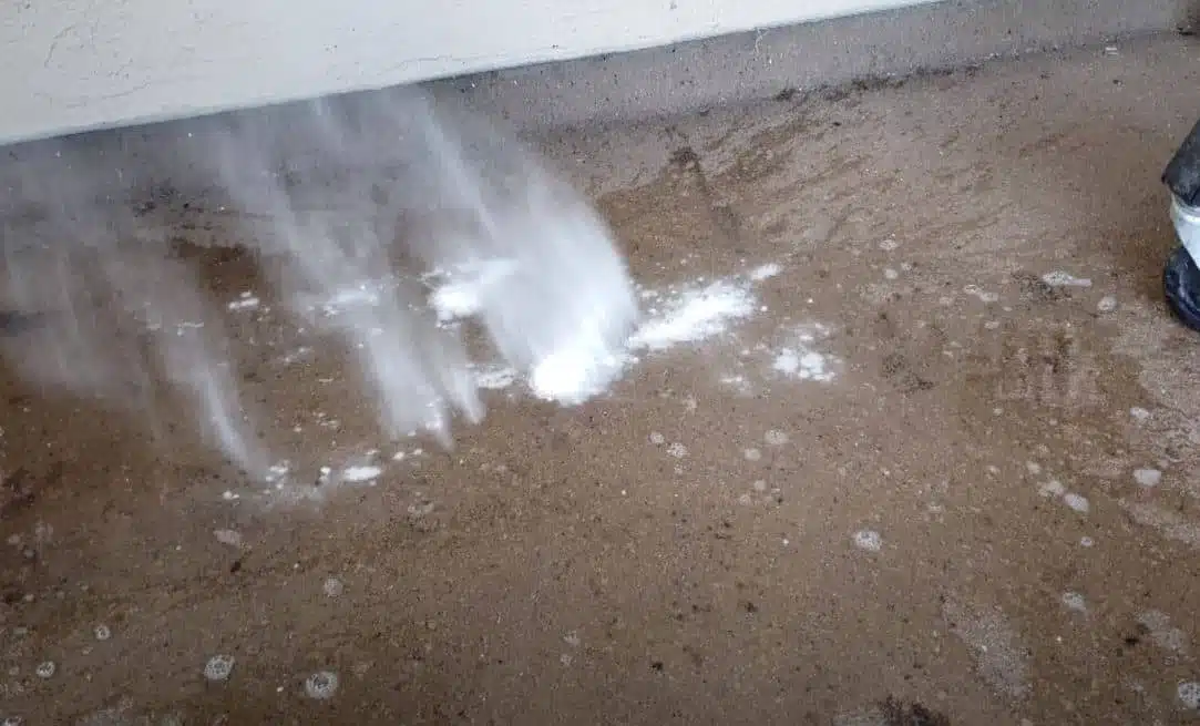 Stain removal treatment of a concrete floor